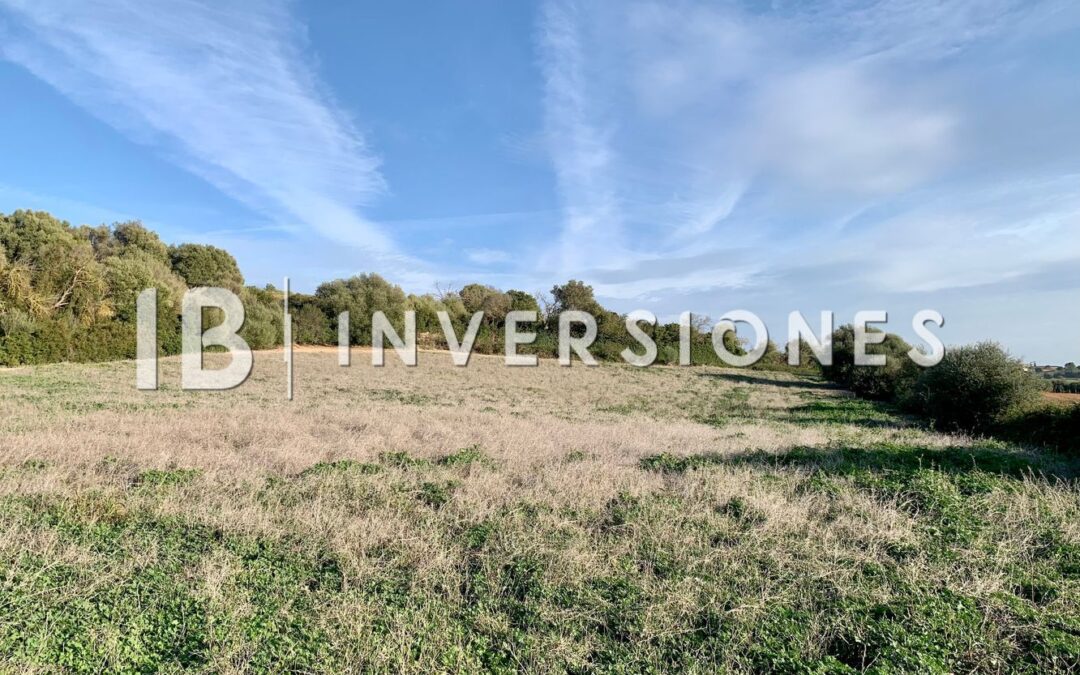 Terreno rural en venta en Son Boga Manacor