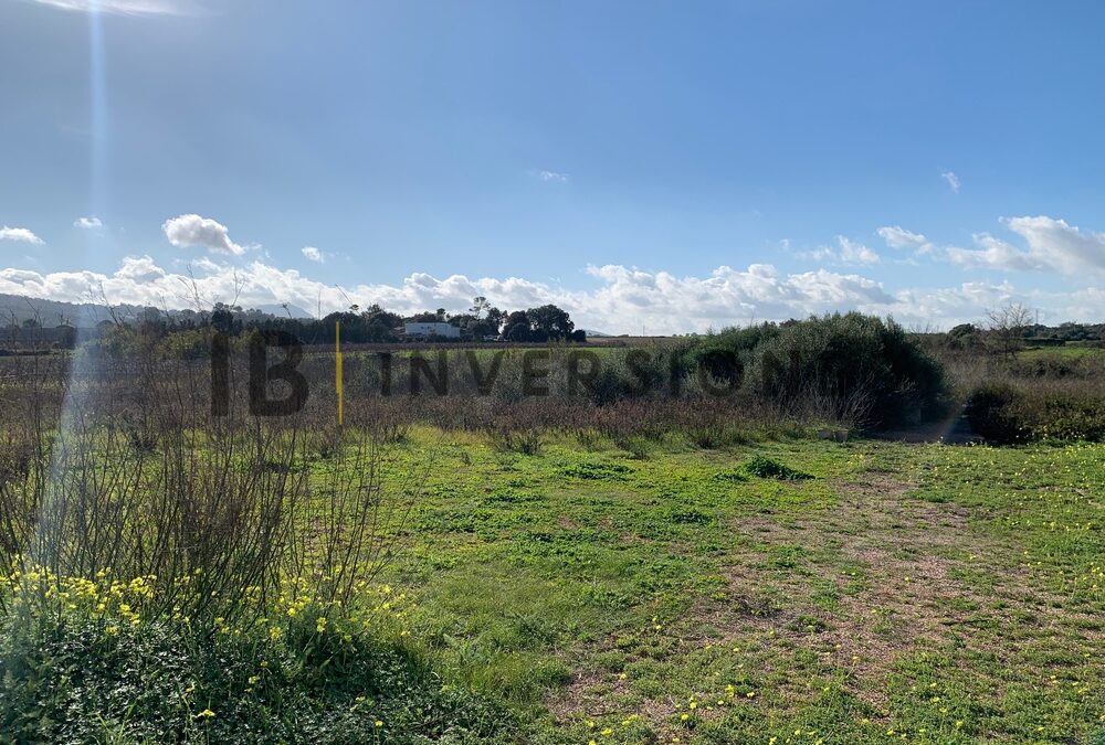 Terreno en venta en Poligono Poligon 24 – Manacor