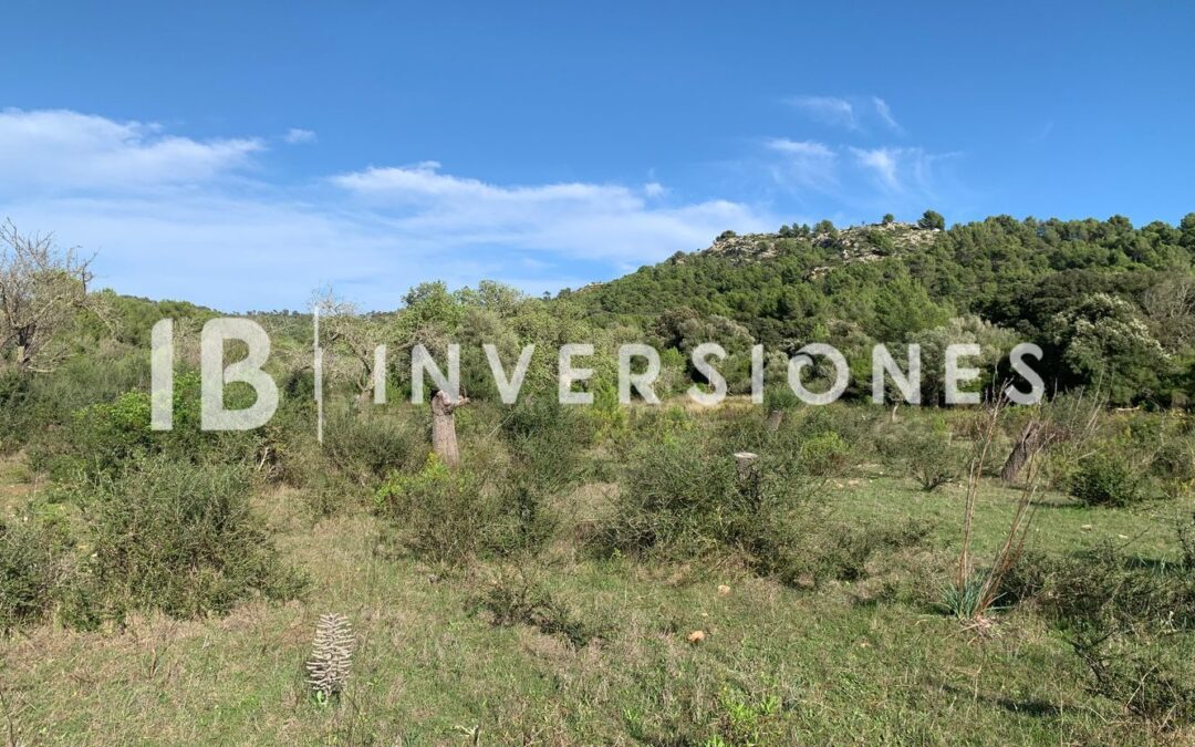 Terreno rústico en venta en s’Heretat – Capdepera