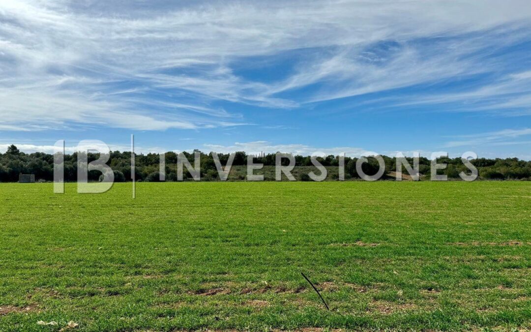 Terreno en venta en Son Caules – Mallorca